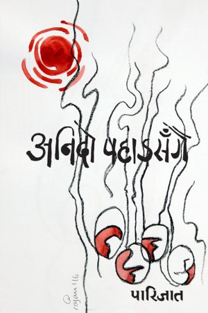 Anido Pahad Sangai By Parijat