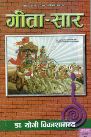 Gita Saar By Yogi Bikasnanda