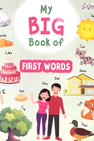 The Big Book of First Words (Hardcover)