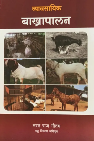Bakhra Palan By Bharat Raj Gautam