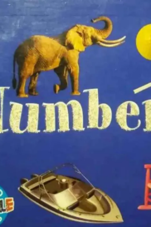 Numbers - (Children Board Book)
